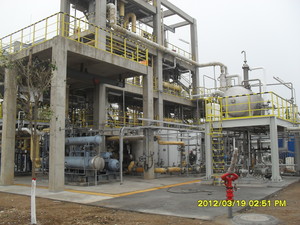 三维瀚森化工有限企业2.5万吨年叔碳酸乙烯酯项目